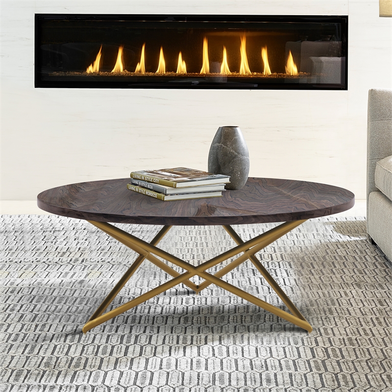 Maklaine Modern Veneer Wood/Metal Coffee Table in Brown/Brushed Gold