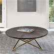 Maklaine Modern Veneer Wood/Metal Coffee Table in Brown/Brushed Gold