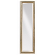 Maklaine Modern / Contemporary Mirror in Silver and Gold Wood Frame