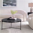 Maklaine Round Top Modern Aluminum Coffee Table in Black Finish