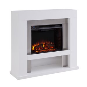 Maklaine Transitional Stainless Steel Electric Fireplace in Gray