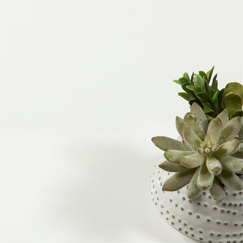 Maklaine Contemporary 8 Drawer Double Dresser in White Finish