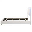 Maklaine Faux Leather Twin Panel Bed with LED Lighting in White