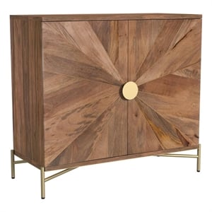 Maklaine Contemporary Two Door Cabinet in Brown Finish Mango Wood