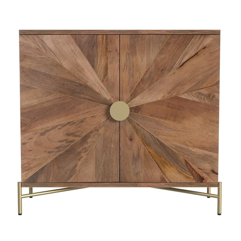 Maklaine Contemporary Two Door Cabinet in Brown Finish Mango Wood