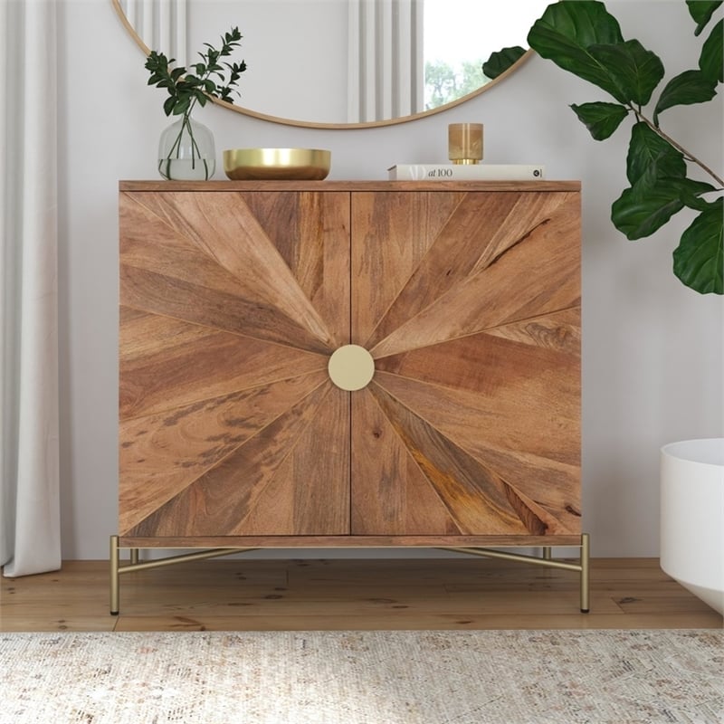 Maklaine Contemporary Two Door Cabinet in Brown Finish Mango Wood