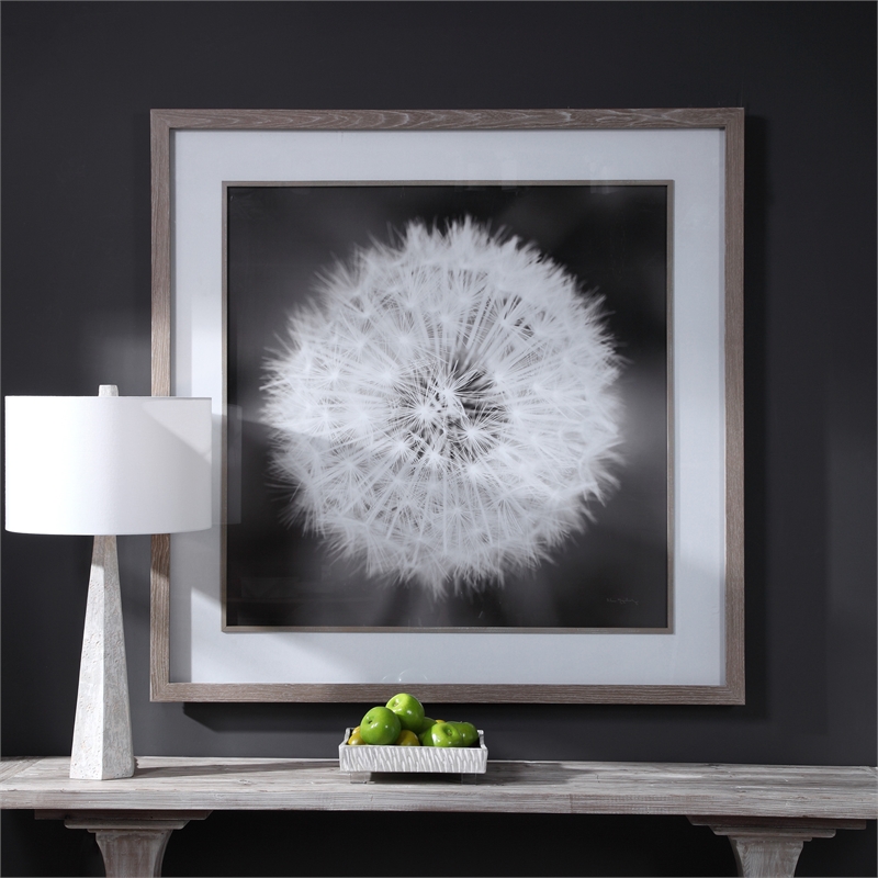 Maklaine Dandelion Seedhead Wood and Glass Framed Print in Black/White