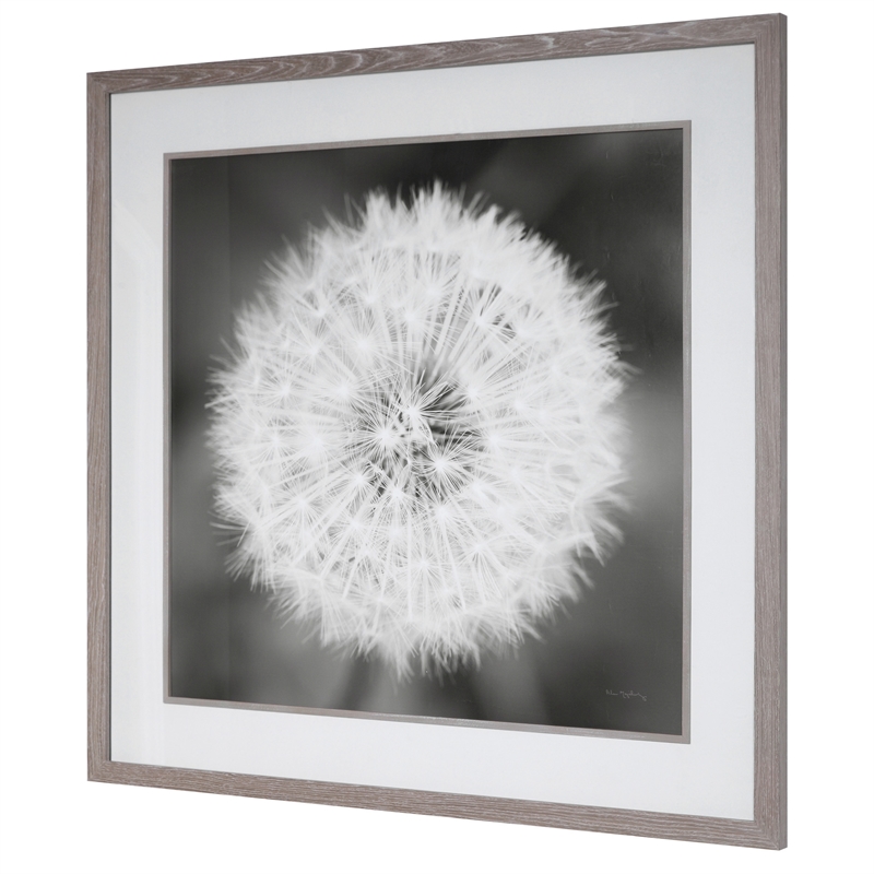 Maklaine Dandelion Seedhead Wood and Glass Framed Print in Black/White