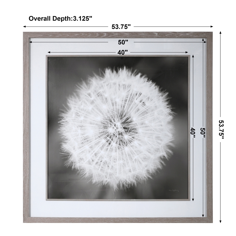 Maklaine Dandelion Seedhead Wood and Glass Framed Print in Black/White