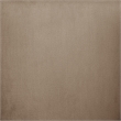 Maklaine Modern / Contemporary Beige Finish Velvet Dining Chair