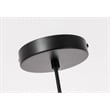 Maklaine Transitional 1-Light Metal & Glass Pendant in Black/Clear