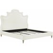 Maklaine Velvet Cream Queen Bed Rectangular Sculpted Headboard 63.8