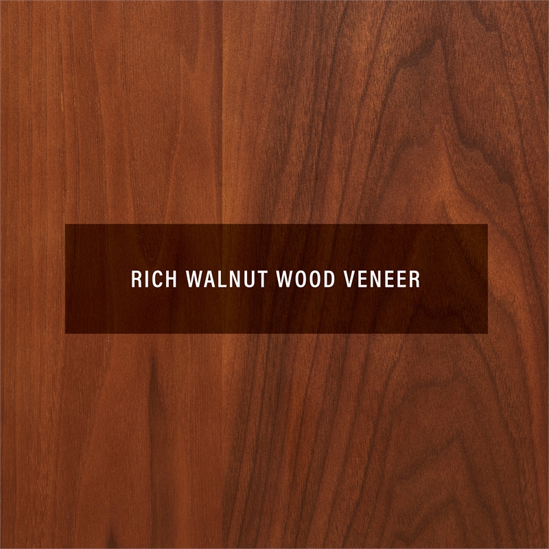 Maklaine Contemporary Wood Medium Record Storage Console Walnut