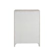 Maklaine Modern / Contemporary Accent Wood Chest in Gray Finish