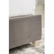Maklaine Modern Transitional Velvet Queen Bed in Dove Gray Finish