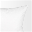 Maklaine Modern / Contemporary 20 x 20 White Down pillow insert