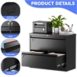 Maklaine 2-Drawer Steel Metal Lateral Locking Filing Cabinet with Lock in Black