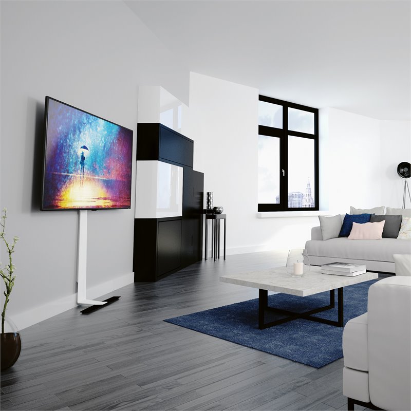 Maklaine Steel Against the Wall Standing TV Mount for 24