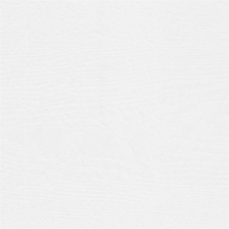 Maklaine Engineered Wood 2 Drawer Lateral File Cabinet in White Ash