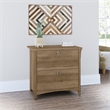 Maklaine Contemporary 2 Drawer File Cabinet in Reclaimed Pine