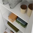 Maklaine Contemporary Engineered Wood Storage Cabinet in White Finish