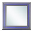 Maklaine Transitional Engineered Wood Frame Mirror in Silver Champagne