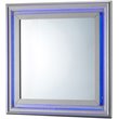 Maklaine Transitional Engineered Wood Frame Mirror in Silver Champagne