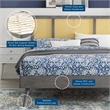 Maklaine Cane Rattan and Wood Full Platform Bed with Splayed Legs in Gray