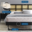 Maklaine Cane Rattan and Wood Queen Platform Bed with Angular Legs in Black