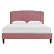 Maklaine Modern Performance Velvet Queen Platform Bed in Dusty Rose
