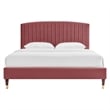 Maklaine Modern Performance Velvet Queen Platform Bed in Dusty Rose