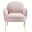 Maklaine Contemporary Performance Velvet Armchair in Pink/Gold