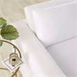 Maklaine Contemporary Dense Foam Padding Performance Velvet Sofa in Dove/White