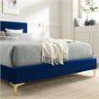 Maklaine Contemporary Channel Tufted Velvet Queen Platform Bed in Navy