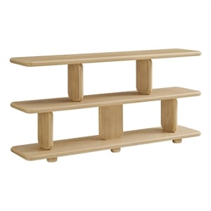 Maklaine Modern / Contemporary 2-Tier Open Shelving Bookshelf in Natural