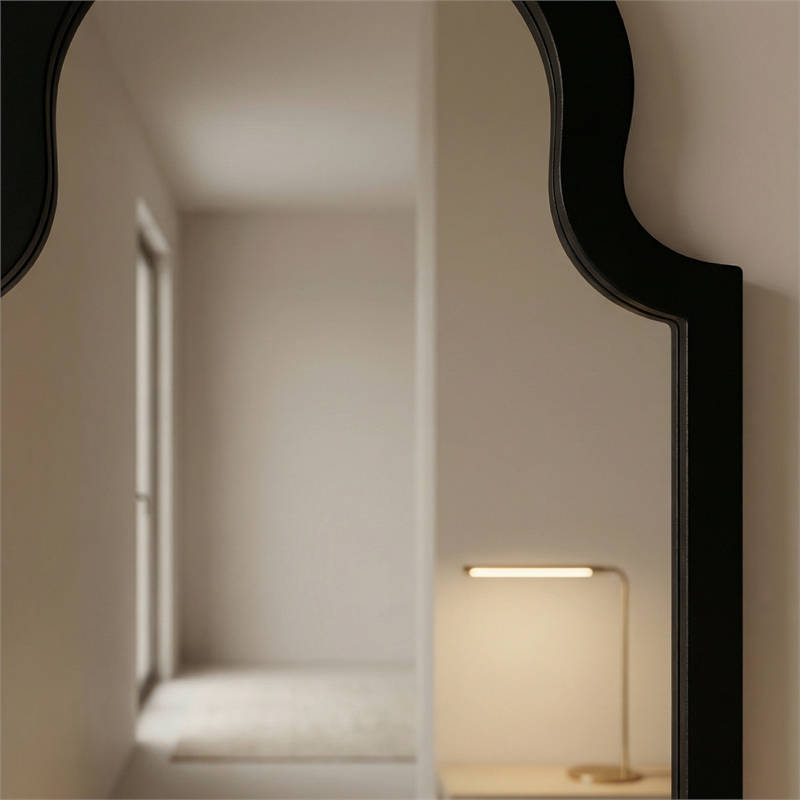 Maklaine Soft Rounded Silhouette Wood Frame Wall Mirror in Black Lacquer