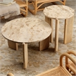 Maklaine Mango Wood and Tendua Stone Coffee Table With End Caps