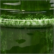 Maklaine Handmade Reactive Glaze Ceramic Decorative Vase Medium in Green