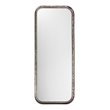Maklaine Iron Rounded Rectangle Transitional Mirror in Silver Leaf