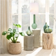 Maklaine Hand-Blown Glass Table Lamp With Linen Shade in Green