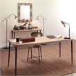 Maklaine Contemporary Faux Horn Pattern Rectangle Wall Mirror in Natural