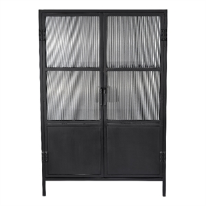 Maklaine Contemporary 2-Door Iron and Glass Industrial Dresser in Black