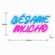 Maklaine LED Neon Sign on Acrylic - Besame Mucho Contemporary Wall Decor