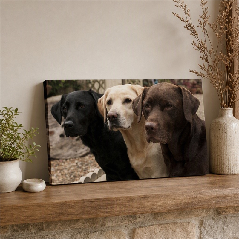 Maklaine Three Labs Multi-Color Canvas Wall Art Solid Wood 36