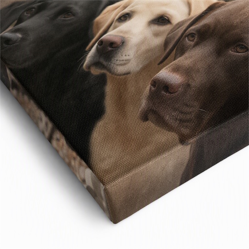 Maklaine Three Labs Multi-Color Canvas Wall Art Solid Wood 36