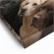 Maklaine Three Labs Multi-Color Canvas Wall Art Solid Wood 36