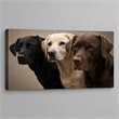 Maklaine Three Labs Multi-Color Canvas Wall Art Solid Wood 36