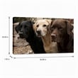 Maklaine Three Labs Multi-Color Canvas Wall Art Solid Wood 36