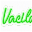 Maklaine LED Neon Wall Sign on Acrylic Panel in Green 30
