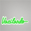 Maklaine LED Neon Wall Sign on Acrylic Panel in Green 30